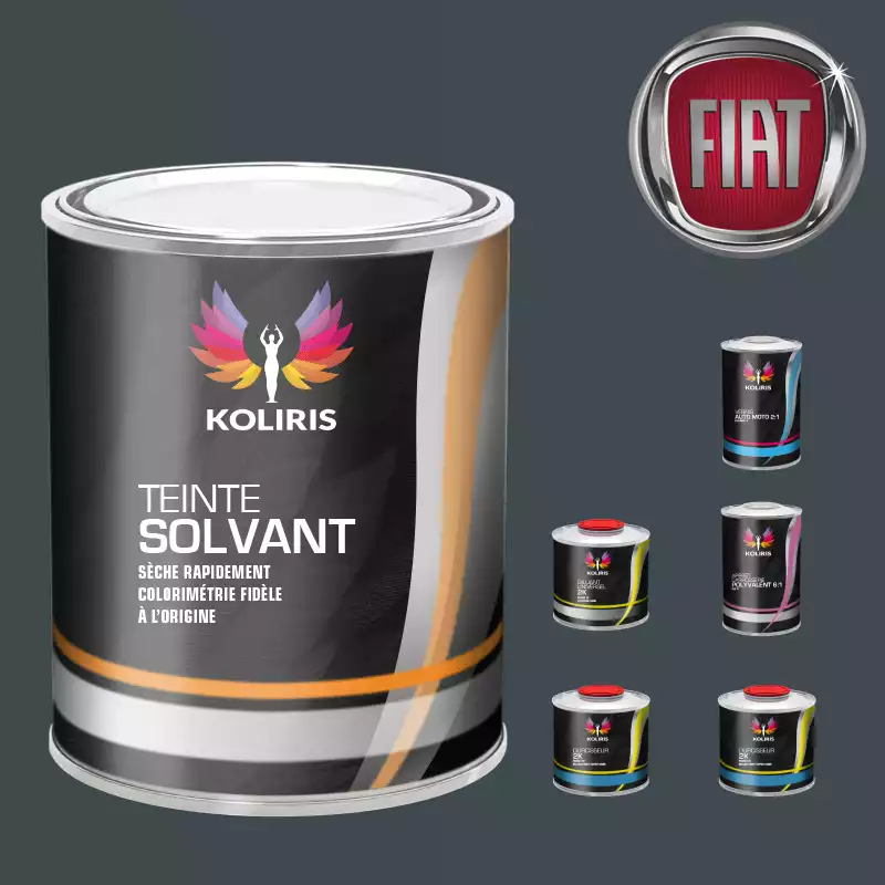 Pack peinture vernis apprêt voiture solvant Fiat