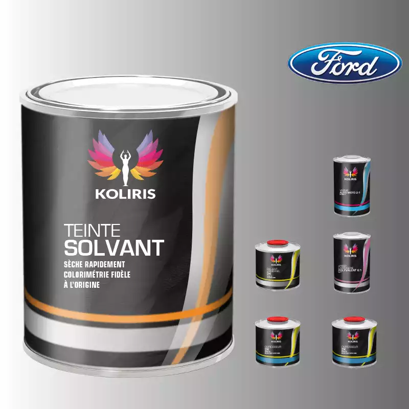 Pack peinture vernis apprêt voiture solvant Ford