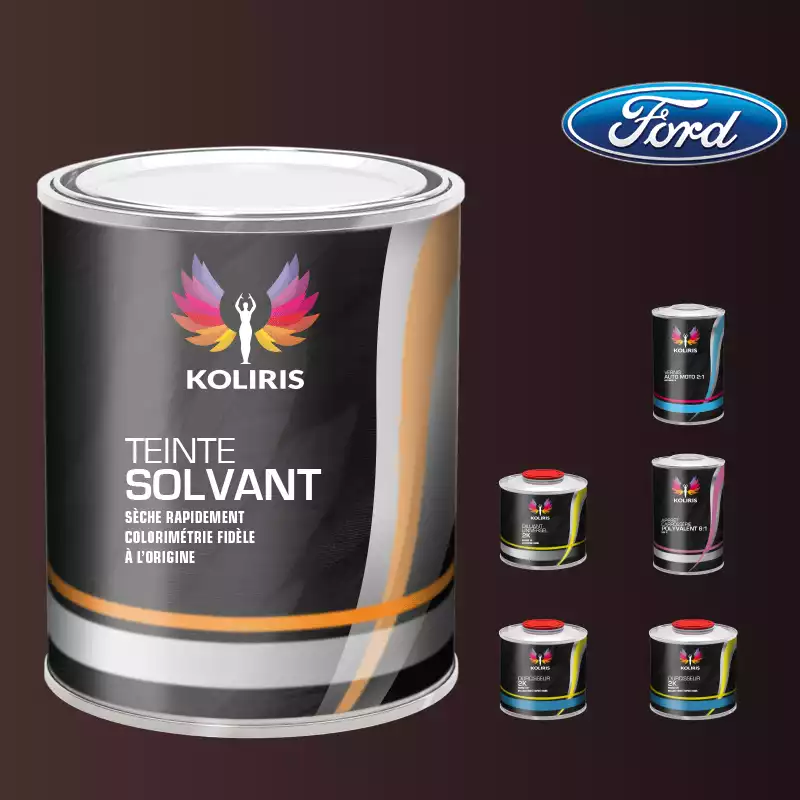 Pack peinture vernis apprêt voiture solvant Ford