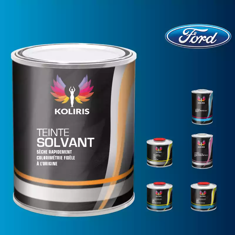 Pack peinture vernis apprêt voiture solvant Ford