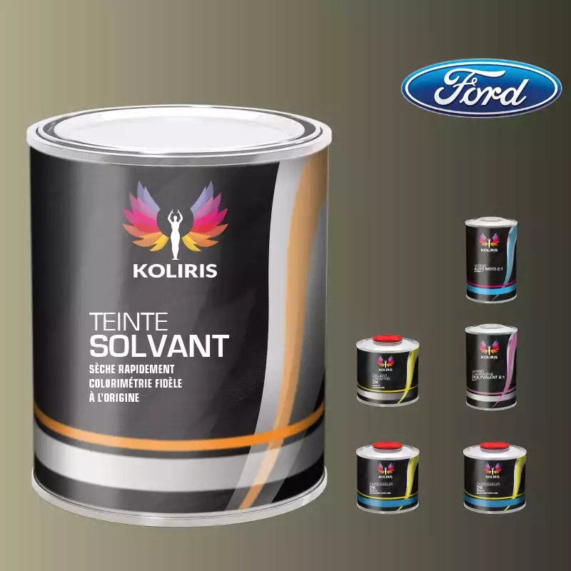 Pack peinture vernis apprêt voiture solvant Ford