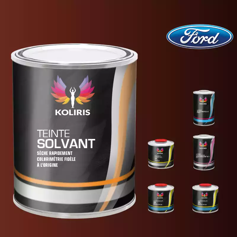 Pack peinture vernis apprêt voiture solvant Ford