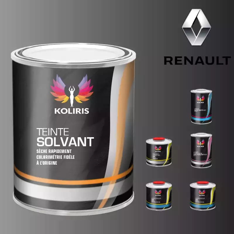Pack peinture vernis apprêt voiture solvant Renault