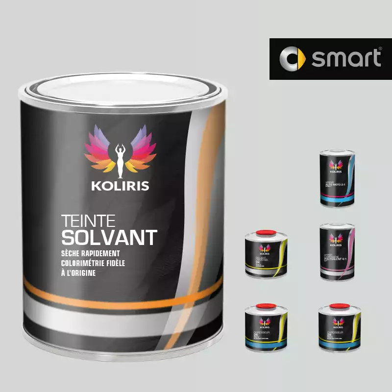 Pack peinture vernis apprêt voiture solvant Smart