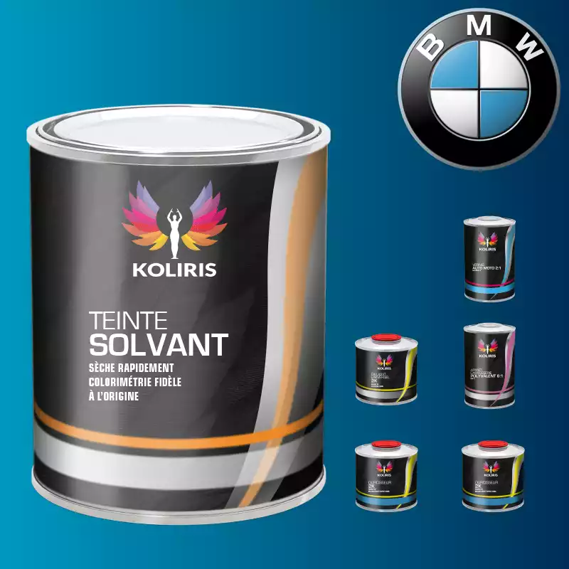 Pack peinture vernis apprêt moto solvant Bmw Moto