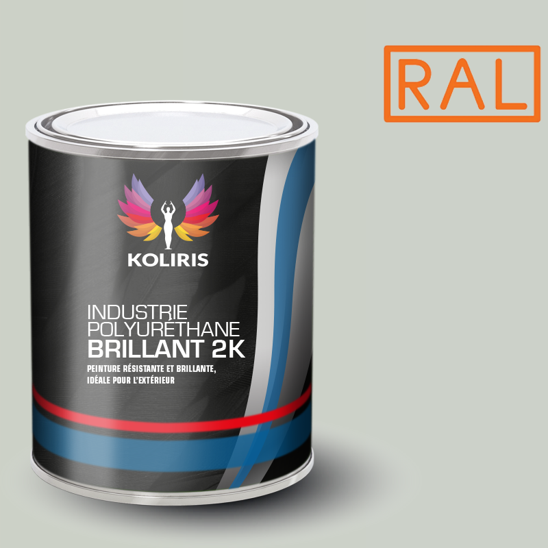 Peinture industrie 2K PU brillante Ral