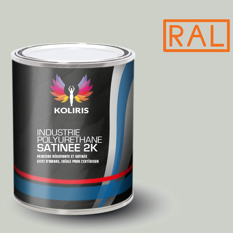 Peinture industrie 2K PU satinée Ral