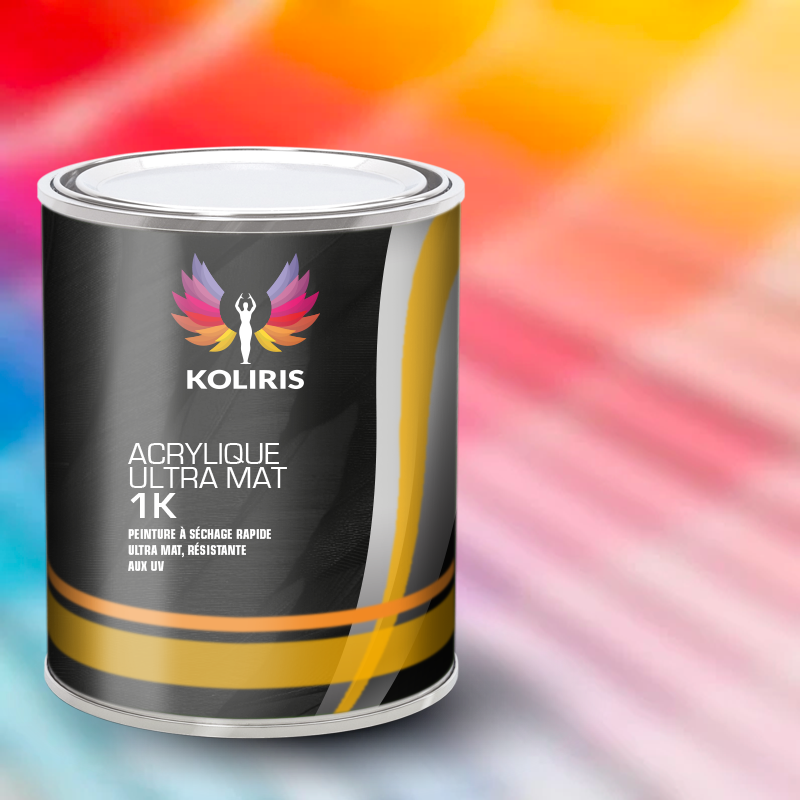 Peinture industrielle mat Ral