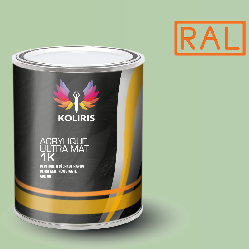 Peinture industrielle mat Ral