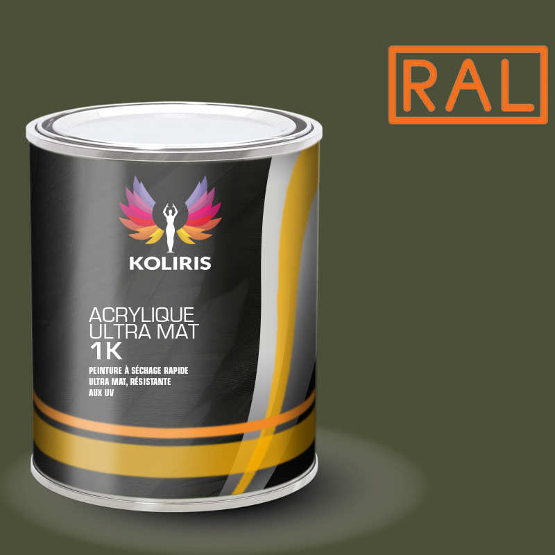 Peinture industrielle mat Ral