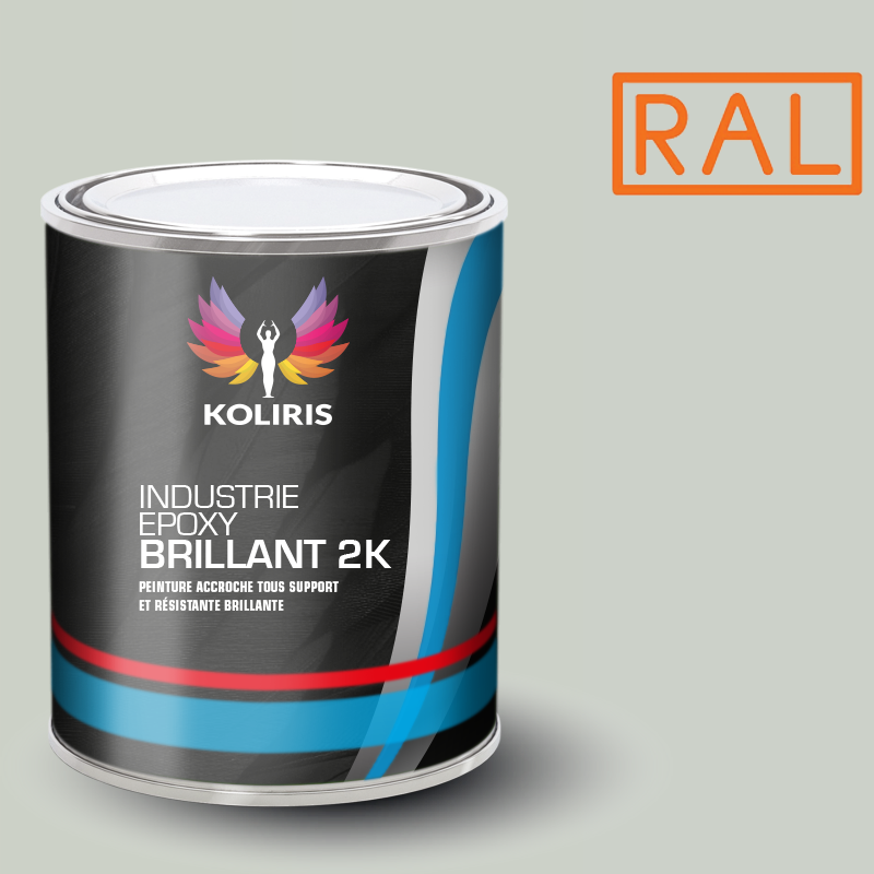 Peinture époxy 2K brillant Ral