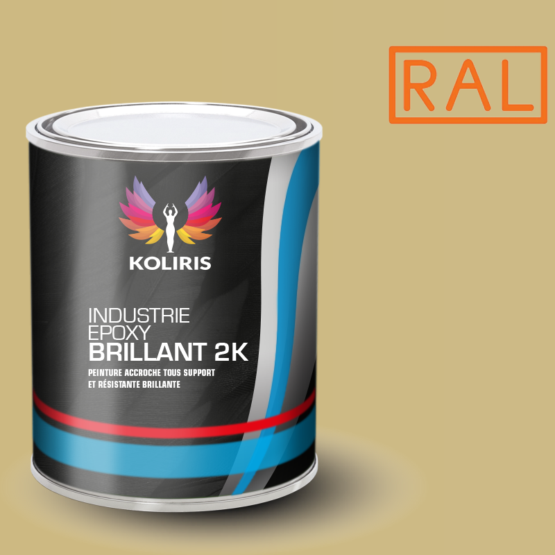 Peinture époxy 2K brillant Ral