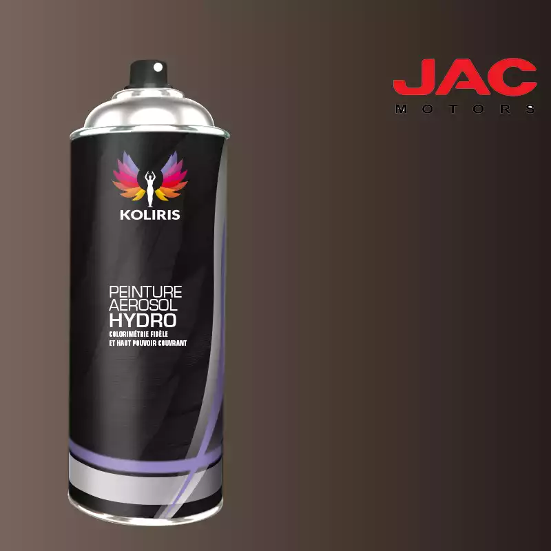 Bombe de peinture utilitaire hydro Jac Motors 400ml