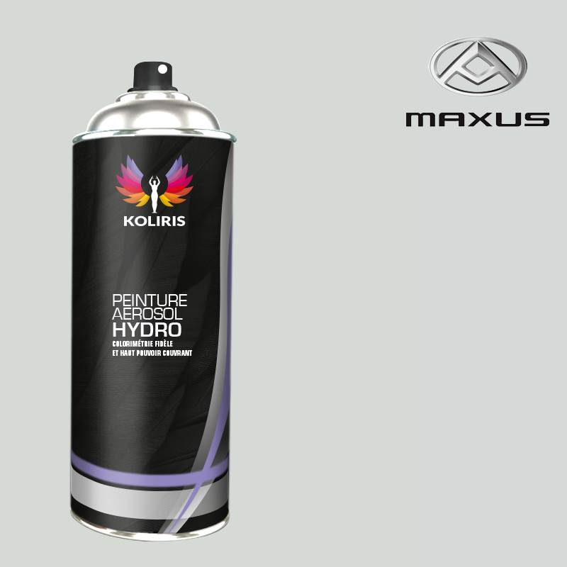 Bombe de peinture utilitaire hydro Maxus 400ml