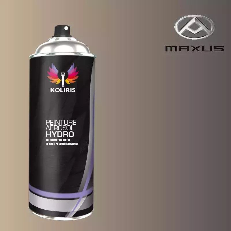Bombe de peinture utilitaire hydro Maxus 400ml