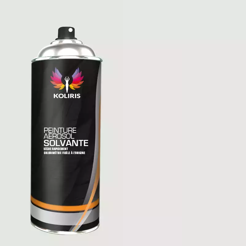 Bombe de peinture utilitaire solvant Foton Motors 400ml