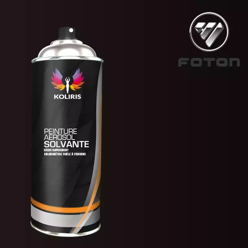 Bombe de peinture utilitaire solvant Foton Motors 400ml