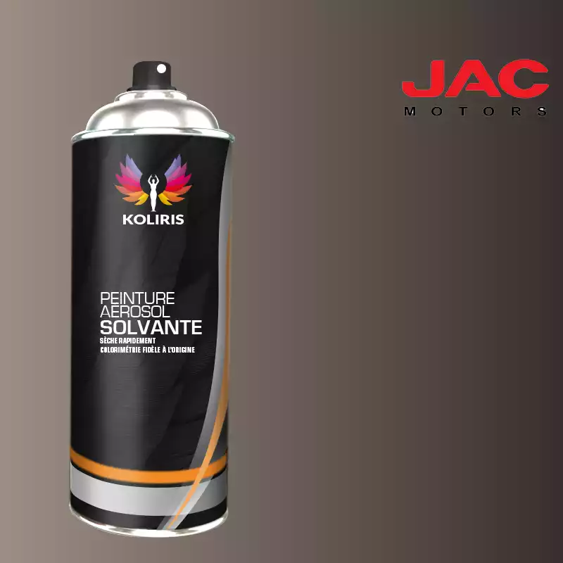 Bombe de peinture utilitaire solvant Jac Motors 400ml