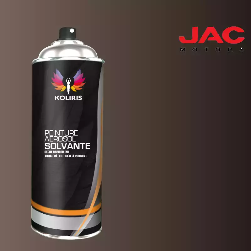 Bombe de peinture utilitaire solvant Jac Motors 400ml