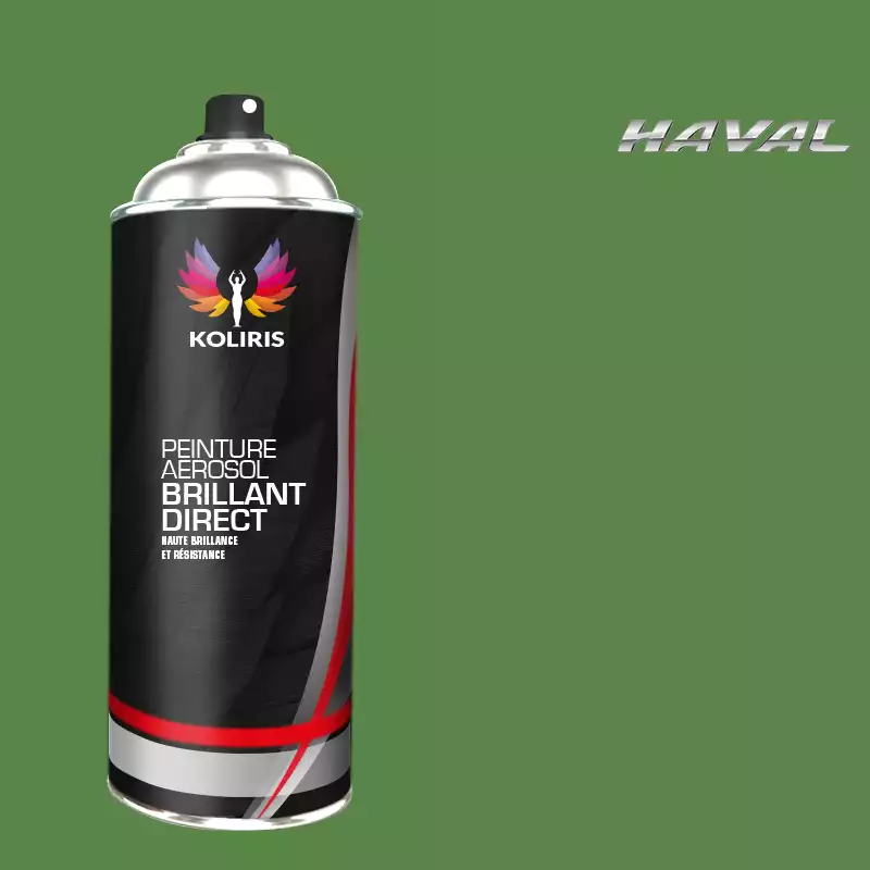 Bombe de peinture voiture 1K brillant Haval 400ml