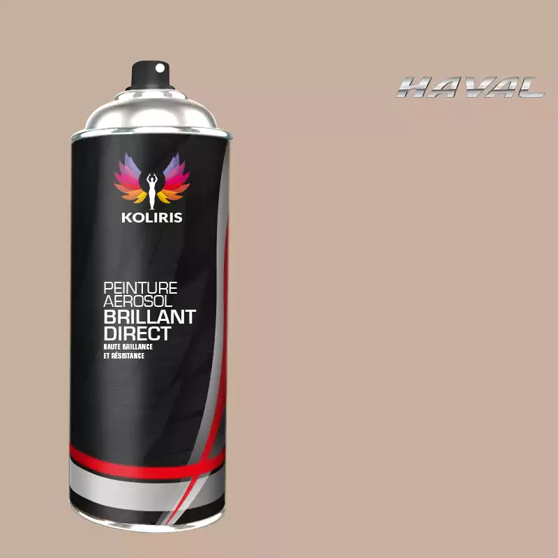 Bombe de peinture voiture 1K brillant Haval 400ml