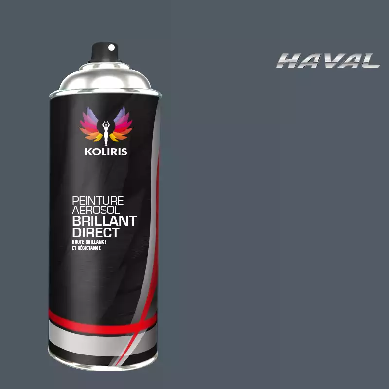 Bombe de peinture voiture 1K brillant Haval 400ml