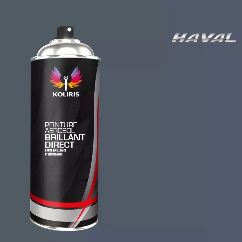 Bombe de peinture voiture 1K brillant Haval 400ml