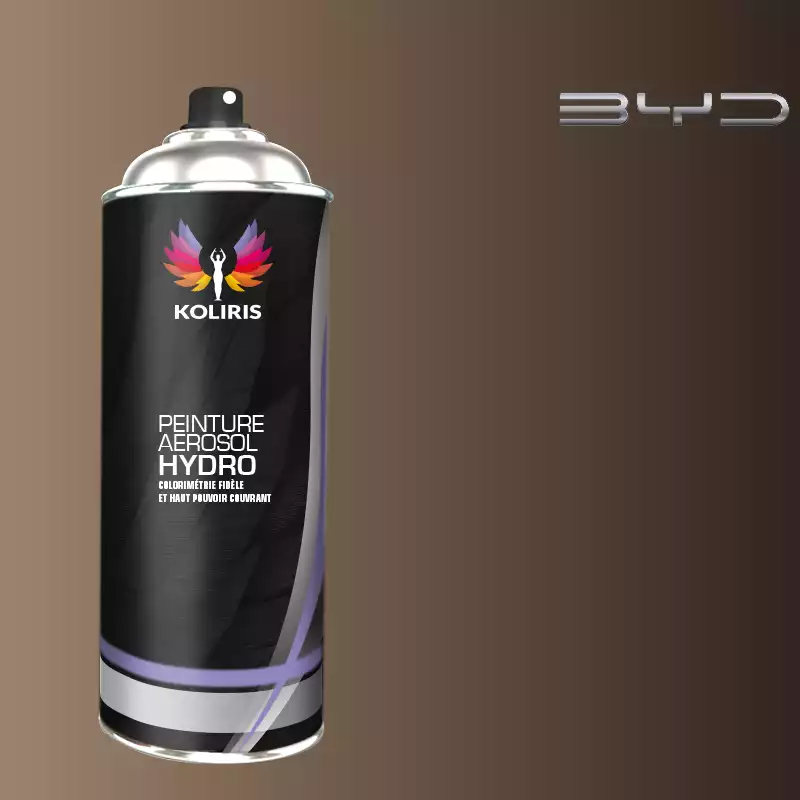 Bombe de peinture voiture hydro Byd Auto 400ml