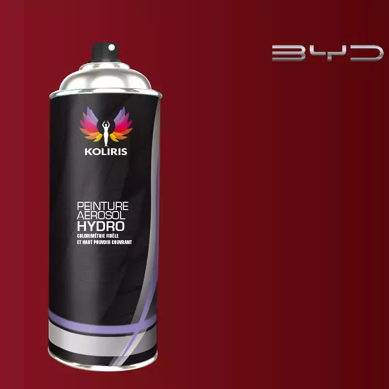 Bombe de peinture voiture hydro Byd Auto 400ml