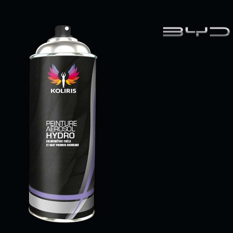 Bombe de peinture voiture hydro Byd Auto 400ml