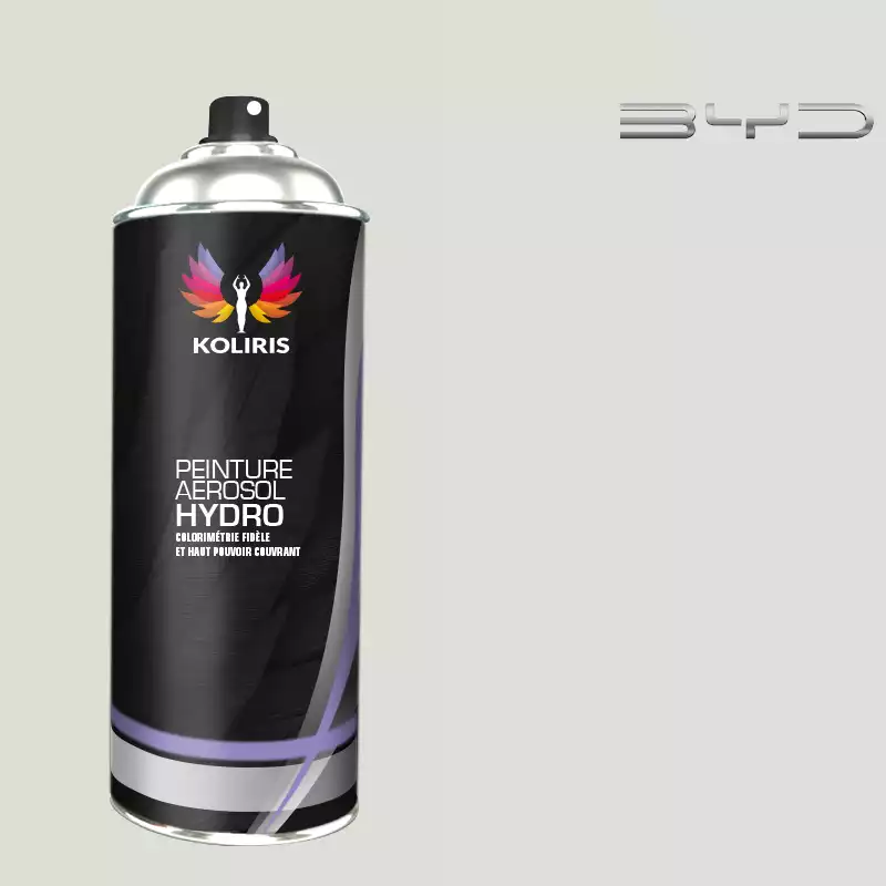 Bombe de peinture voiture hydro Byd Auto 400ml