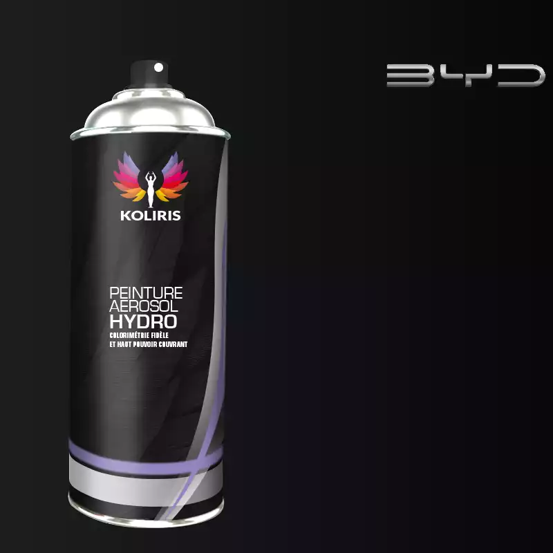 Bombe de peinture voiture hydro Byd Auto 400ml