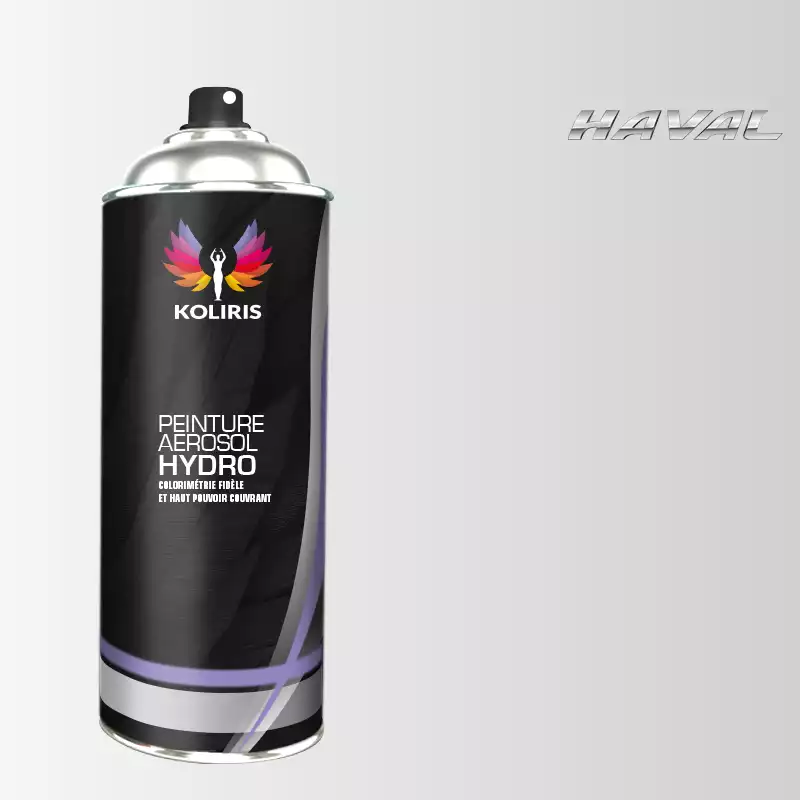 Bombe de peinture voiture hydro Haval 400ml