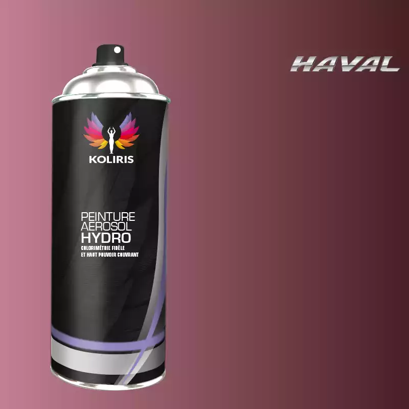 Bombe de peinture voiture hydro Haval 400ml