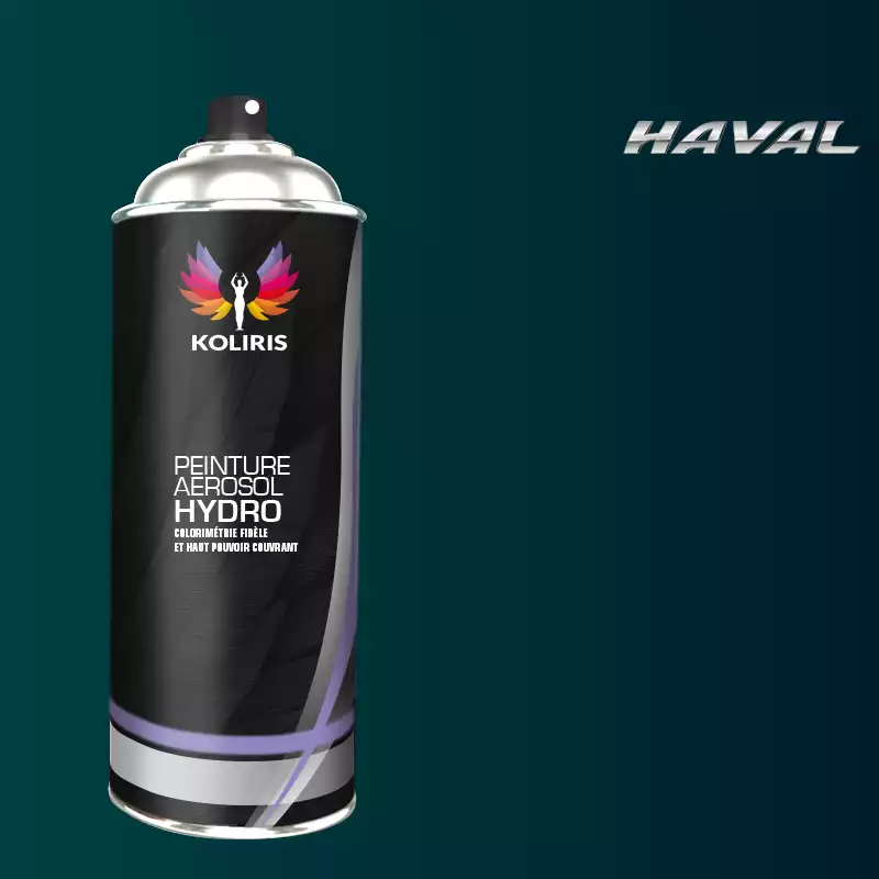 Bombe de peinture voiture hydro Haval 400ml