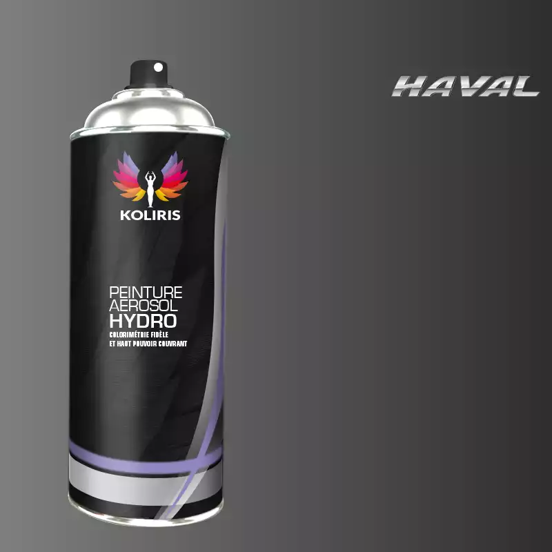 Bombe de peinture voiture hydro Haval 400ml