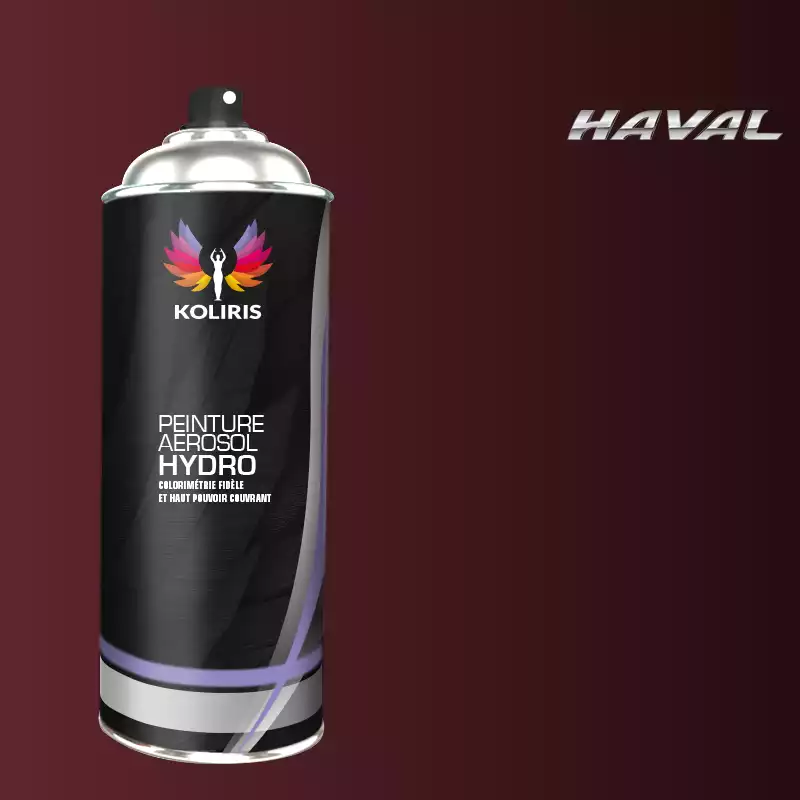 Bombe de peinture voiture hydro Haval 400ml