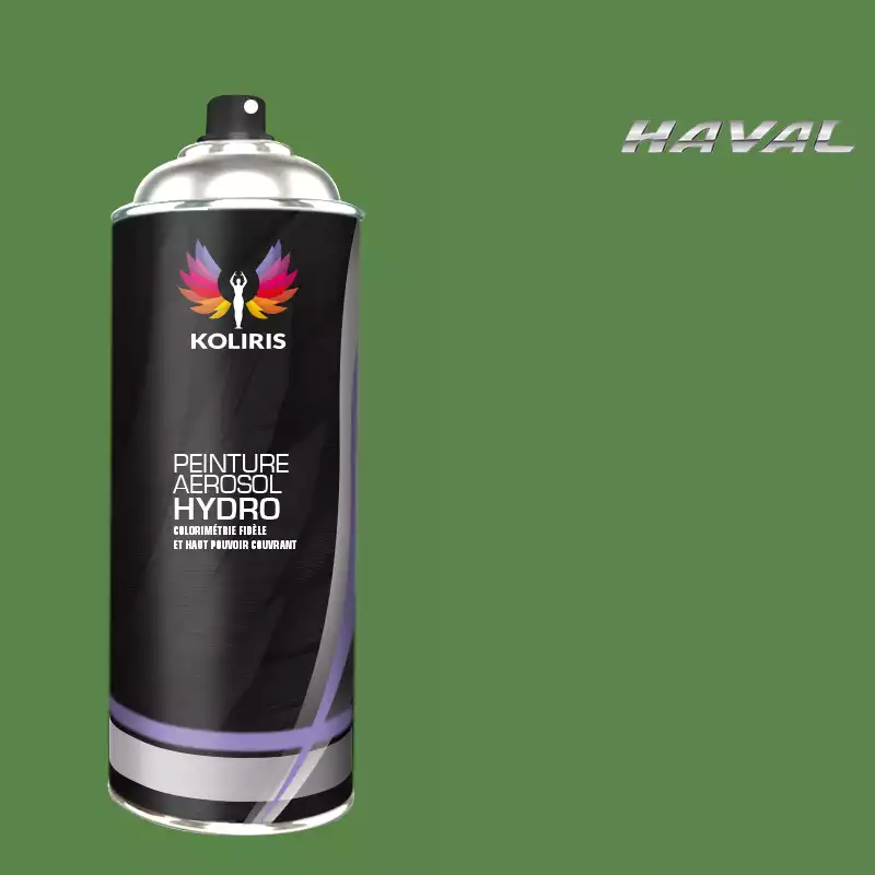 Bombe de peinture voiture hydro Haval 400ml