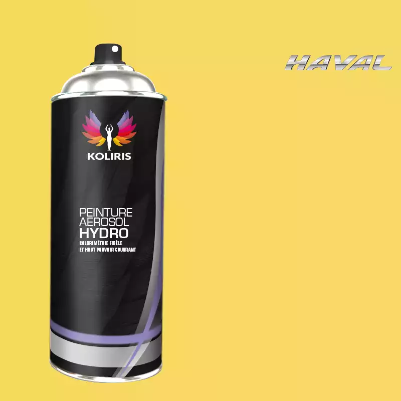 Bombe de peinture voiture hydro Haval 400ml