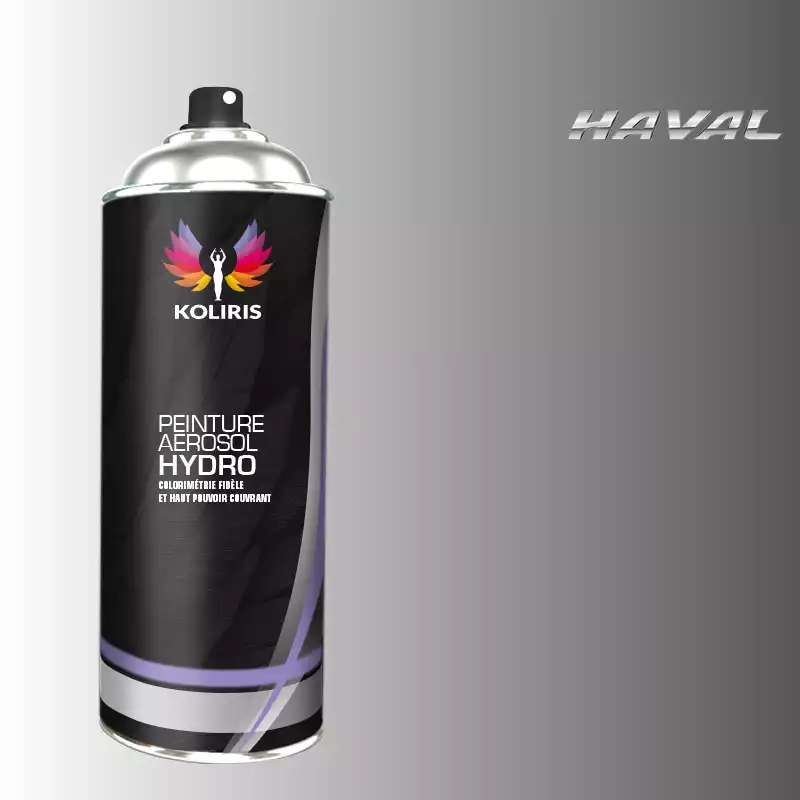 Bombe de peinture voiture hydro Haval 400ml