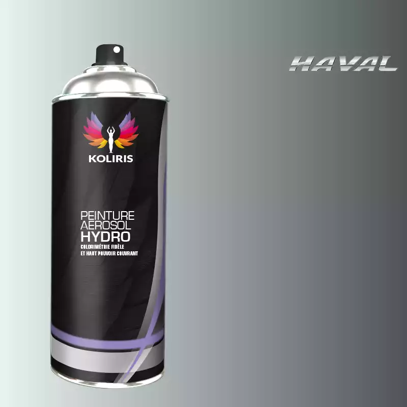 Bombe de peinture voiture hydro Haval 400ml