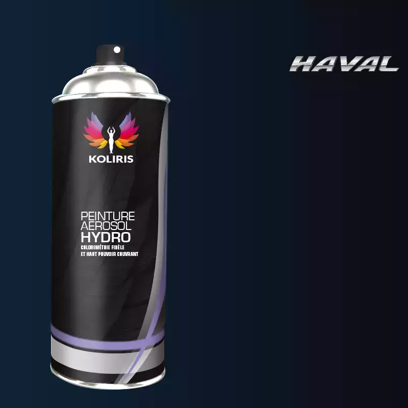 Bombe de peinture voiture hydro Haval 400ml