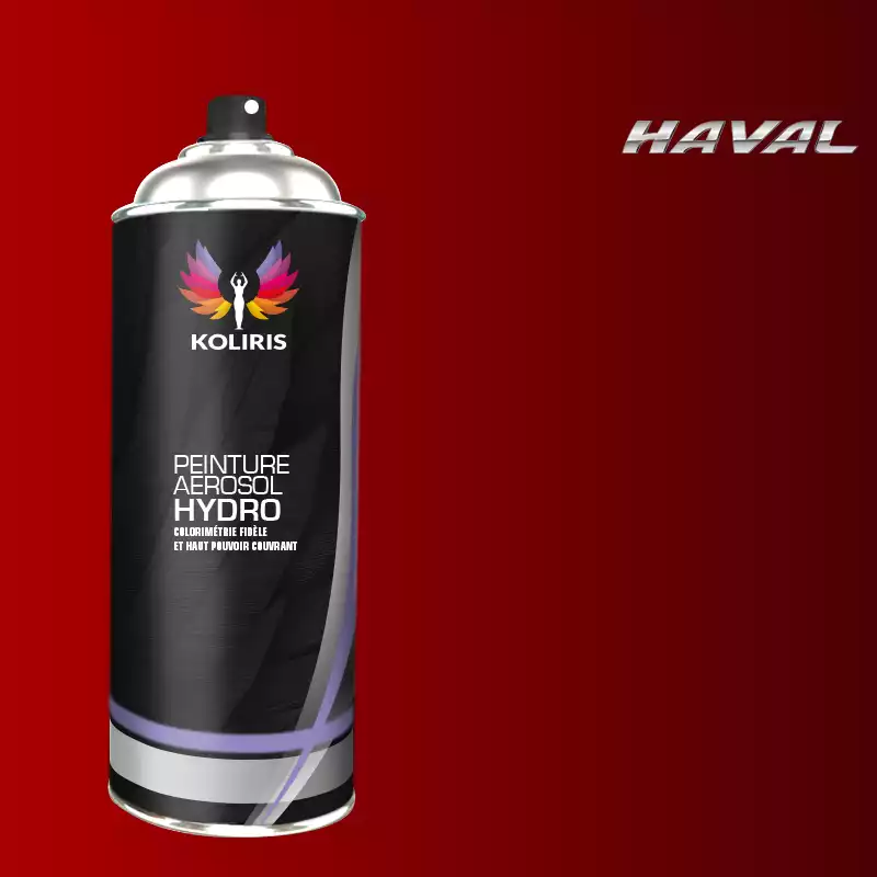 Bombe de peinture voiture hydro Haval 400ml