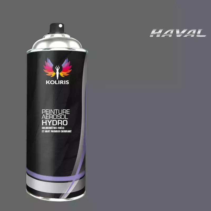 Bombe de peinture voiture hydro Haval 400ml