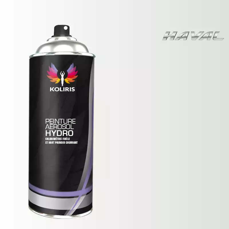 Bombe de peinture voiture hydro Haval 400ml