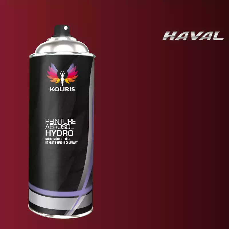 Bombe de peinture voiture hydro Haval 400ml