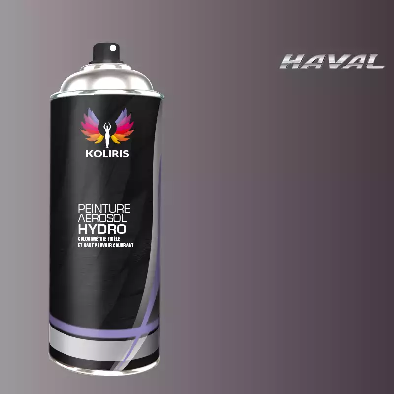 Bombe de peinture voiture hydro Haval 400ml