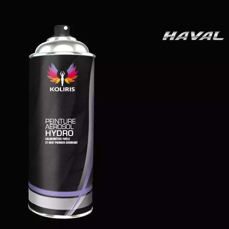 Bombe de peinture voiture hydro Haval 400ml