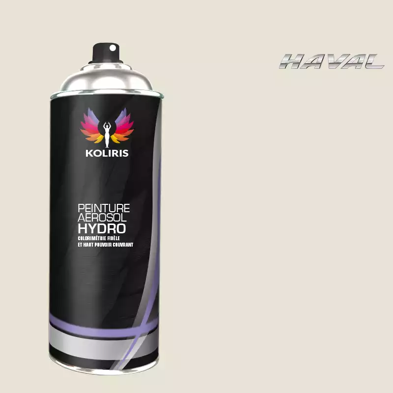 Bombe de peinture voiture hydro Haval 400ml