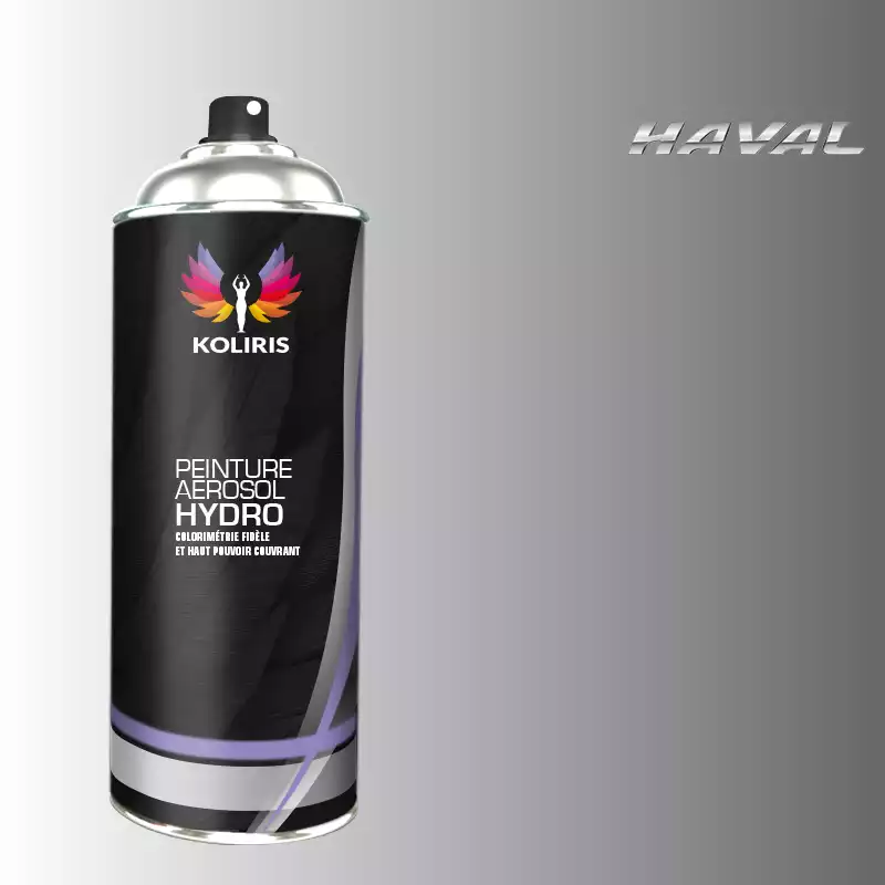 Bombe de peinture voiture hydro Haval 400ml